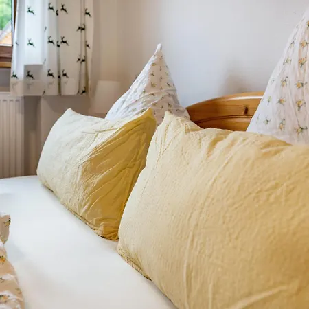 公寓 Haus Semleiten 拉姆绍